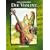 Mein Instrument: Die Violine