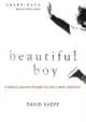 Beautiful Boy: A Father's Journey Through His Son's Crystal Meth Addiction