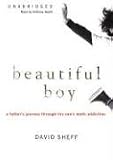 Beautiful Boy: A Father's Journey Through His Son's Crystal Meth Addiction