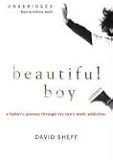 Beautiful Boy: A Father's Journey through His Son's Meth Addiction