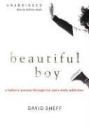 Beautiful Boy: A Father's Journey through His Son's Meth Addiction