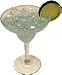 cover of MARGARITA WITH ICE GLASS Fake Drink