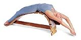Bean - 641 - The Whale Therapeutic Back Bench - Wood - 12 W x 60 L in.
