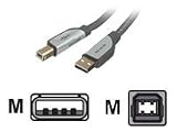 Belkin USB Gold A/B Device Cable A/B - 10Feet