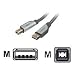 Belkin USB Gold A/B Device Cable A/B - 6Feet