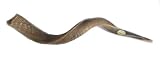 37-39 Large Yemenite Kudu Horn Natural Shofar, with Free Anti Odor Spray, Made in Israel