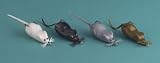 Snagproof® Boss Rat® Bait