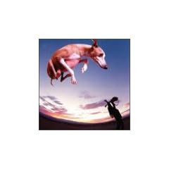 Flying Dog