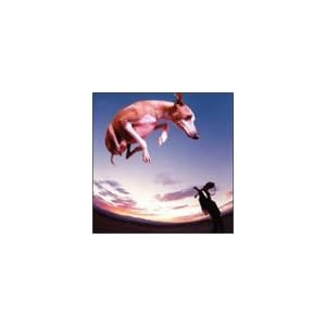 Flying Dog