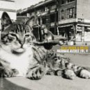 CD-Charts  Music : Mermaid Avenue Vol.2
