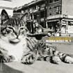 Mermaid Avenue Volume 2