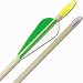 Sporting Goods : (Price/price/dozen)Deluxe Glass Target Arrows - DZN(price/DZN), Fiberglass, Arrows, Archery