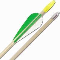 Buy (Price pack)Cajun Archery Deluxe Glass Target Arrows pack of 72 , Fiberglass, Arrows, Archery by Cajun Archery