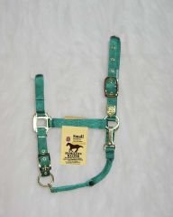 Hamilton Deluxe 1" Nylon Horse Halter with Adjustable Chin and Snap, Green, Small/Cob (500-800 lbs)