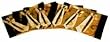 Asian placemat set, imperial gold