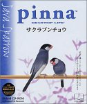 Pinna サクラブンチョウ