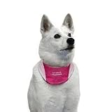Cool It Bandanna Medium - Pink