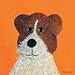 PoshTots - Oscar Mutt-image wrap by Max Grover Image