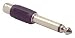 RCA Jack To 1/4