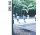 Grapevine - Untitled