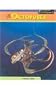 Octopuses (Sea Creatures)