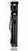 Scorpion Series 2B 4S Leather Cue Stick Case