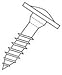 Rss (Tm) Structural Screws - Rss 50Ct 10X2.5 Screw