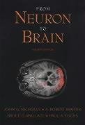 From Neuron to Brain: A Cellular and Molecular Approach to the Function of the Nervous System, Fourth Edition