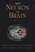 From Neuron to Brain: A Cellular and Molecular Approach to the Function of the Nervous System, Fourth Edition