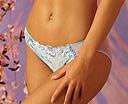 Felina Alexa panty