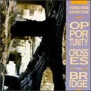 Opportunity Crosses the Bridge
