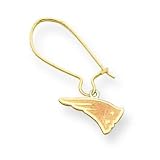 14K New England Patriots Patriot Head Kidney Earrings