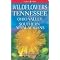 Tennessee Natural History