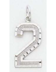 Large #2 Charm - WLN02