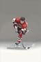Mcfarlane Toys NHL Sports Picks Series 13 Action Figure Dany Heatley (Ottawa Senators)