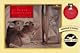 The Tailor of Gloucester (The World of Beatrix Potter: Peter Rabbit)
