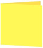 6 1/4 Blank Square Folder - Colors Crocum Smooth (50 Pack)