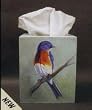 Adventure Marketing Bluebird Tissue Box