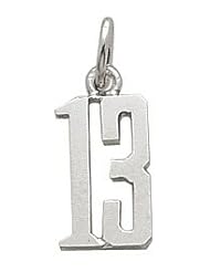 Rembrandt Charms Number 13 Charm