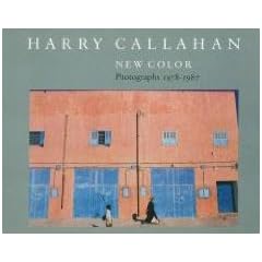 Harry Callahan: New Colour Photographs 1978-1987 Rh