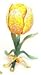 Piearth sA[X WG[{bNX NX^ Δ t[ `[bv NO222 CG[ 222-3 YL