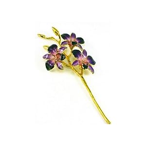 REAL FLOWER Dendrobium Orchid in Purple Pink by 