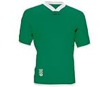 Avento Fußballtrikot kurzärmelig (M - L||gruen weiß)