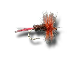 Brown Hackle Peacock Fly Fishing Fly