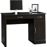 Sauder Mainstays Computer Desk, Park Lane
