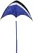 Blue Bug Kite