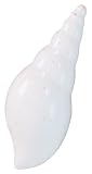 Bell Automotive Ocean Fresh Scented Gel Air Freshener Shell Vent Clip