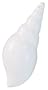 Bell Automotive Ocean Fresh Scented Gel Air Freshener Shell Vent Clip