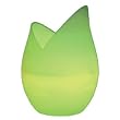 Diffuseur d'huiles essentielles Tulipe