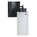 Kenroy Home 05010BRZG Sanctuary 1 Light Sconce, Bronze Graphite Finish